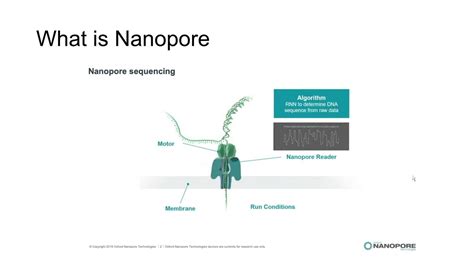 Install tools into your workstation. . Guppy version nanopore
